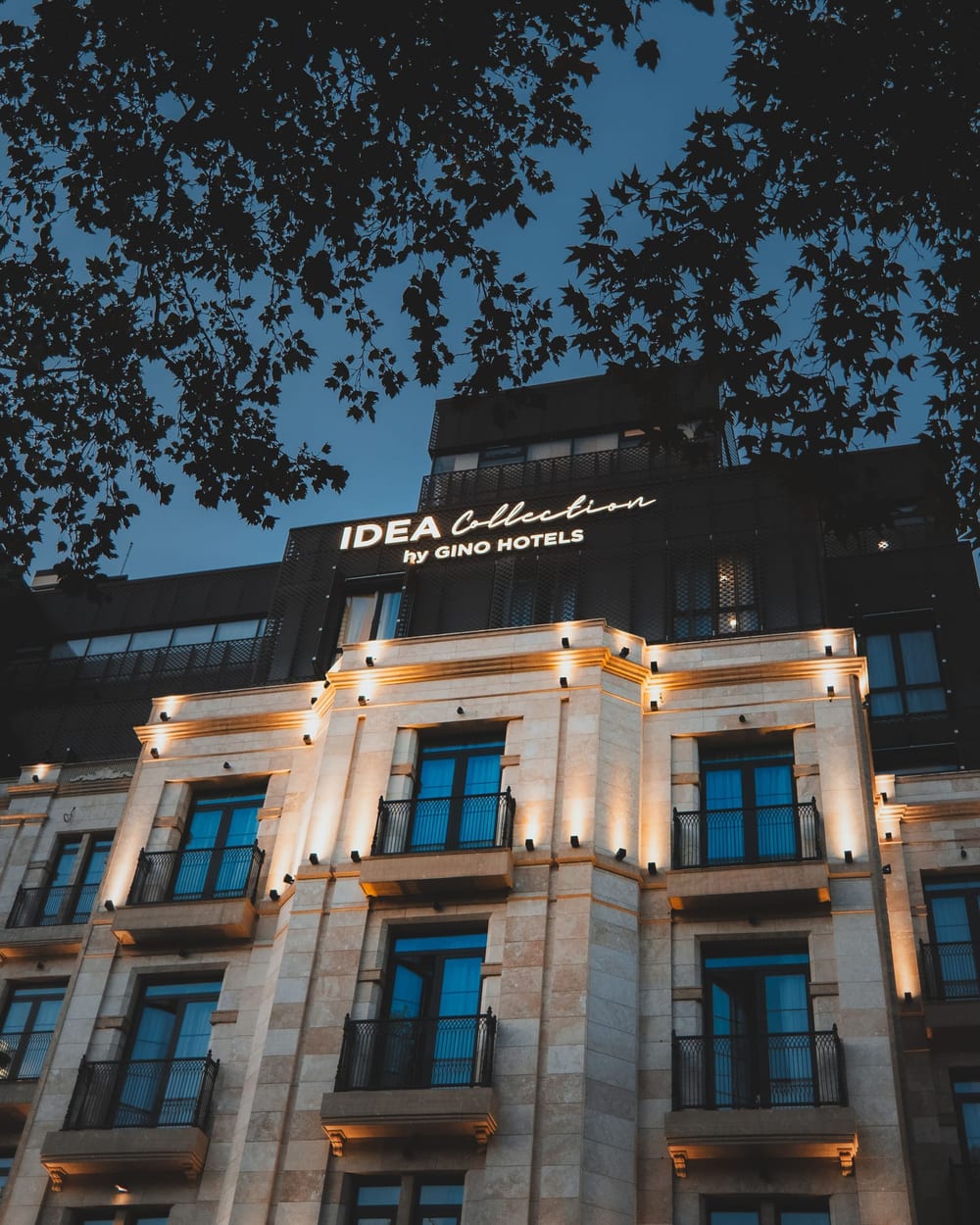 Hotel building lit up at dusk seen through tree branches